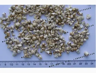 Зображення для оголошення Гречка висаджена повітряна 1кг Puffed buckwheat