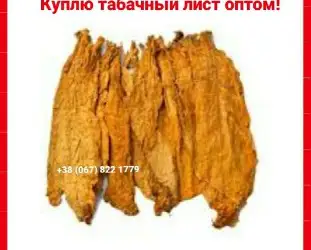 Зображення для оголошення Куплю тютюновий лист  для  сигарет 1 кг, только  ОПТОМ ! Вся Україна