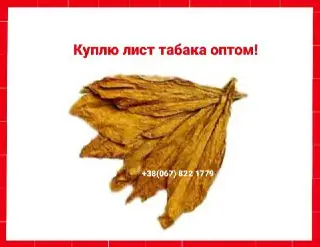 Зображення для оголошення Куплю табачный лист для сигарет 1 кг, только  ОПТ ! Вся Украина