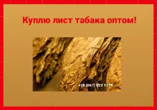 Зображення для оголошення Куплю лист табака для сигарет 1 кг, только опт! Вся Украина