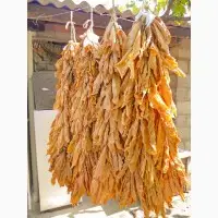 Зображення для оголошення Куплю табак ОПТОМ !! Разных сортов. Дорого. Срочно