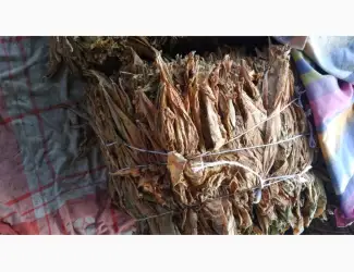 Зображення для оголошення Продам дешево лист70грн крепкий,