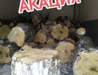 Зображення для оголошення Продам Дрова Акация