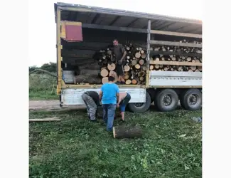 Зображення для оголошення Дрова Бышев
