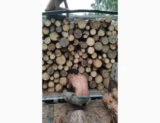 Зображення для оголошення Дрова Буча