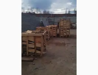Зображення для оголошення Дрова твердих порід