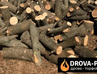 Зображення для оголошення Drova-plus продаж дрова