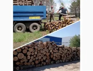 Зображення для оголошення Дрова сухие колотые