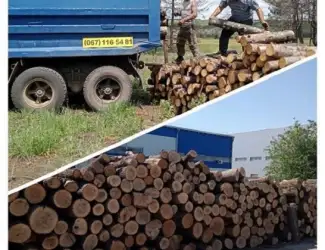 Зображення для оголошення Продам дрова дуб