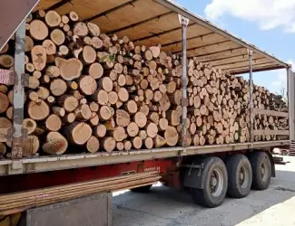 Зображення для оголошення Продам дрова Одесса
