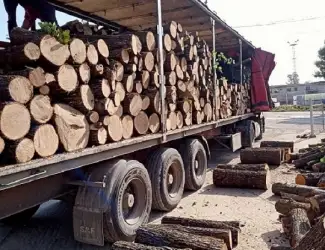 Зображення для оголошення Продажа дров и угля с доставкой