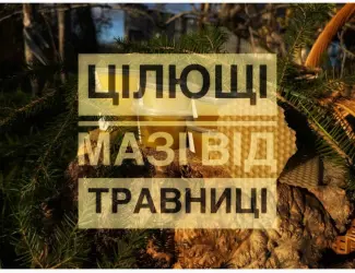 Зображення для оголошення Цілющі мазі від травниці
