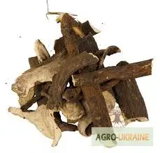Зображення для оголошення Корень пиона