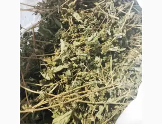 Зображення для оголошення Продам суху мелісу лимонну