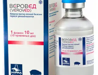 Зображення для оголошення ВакцинаВерознавець від набрякової хвороби поросят