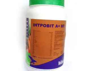 Зображення для оголошення Інтровіт вітаміни А+ВП 1 кг Interchemie