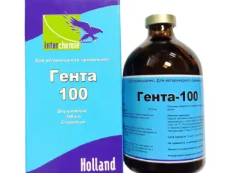 Зображення для оголошення Гента-100, 100 мл