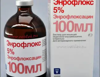 Зображення для оголошення Енрофлокс 5%, 100 мл