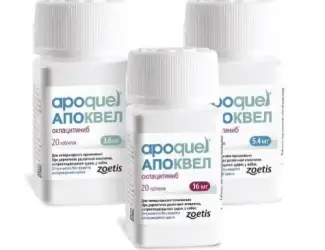 Зображення для оголошення Апоквель (Apoquel)