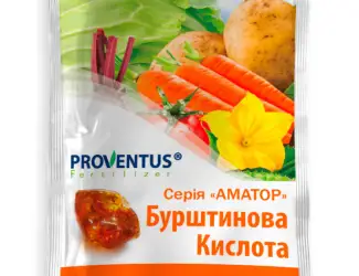 Зображення для оголошення Бурштинова кислота 2 г