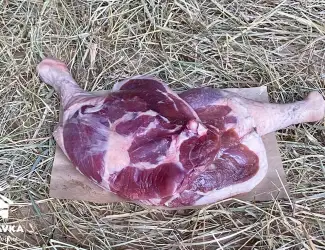 Зображення для оголошення Гусяча ніжка