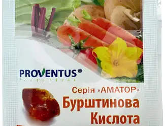 Зображення для оголошення Бурштинова кислота