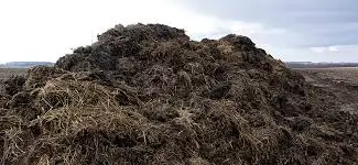 Зображення для оголошення Навоз