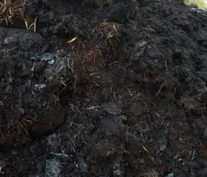 Зображення для оголошення Перегной коровий. Навоз. Компост.