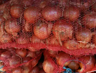 Зображення для оголошення Продам лук