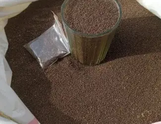 Зображення для оголошення Продам насіння тютюну