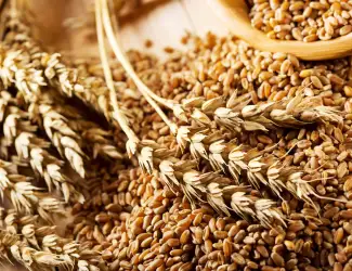 Зображення для оголошення Продам овес