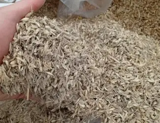 Зображення для оголошення Продам відходи кукурудзи, пшеничні.