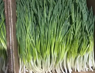 Зображення для оголошення Продам зелену цибулю
