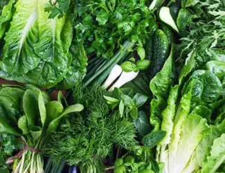 Зображення для оголошення Укроп , Петрушка, шпинат , салат Опт та роздріб