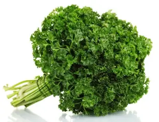 Зображення для оголошення Петрушка кучерявая (100 г)
