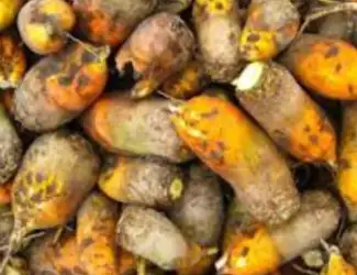 Зображення для оголошення Продам буряк. Ціна 3 грн/кг