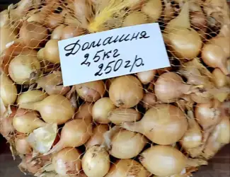 Зображення для оголошення Озима цибуля Домашня на посадку – 2,5 кг