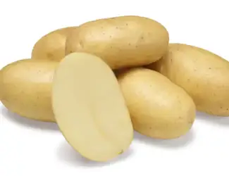 Зображення для оголошення Картофель на посадку Джолин 2,5 кг ,1 репродукция