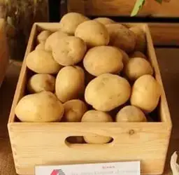Зображення для оголошення Насіннєва картопля Рів'єра 2,5 кг (1 репродукція)