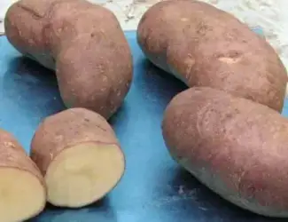 Зображення для оголошення Семенной картофель Тирас 2,5 кг (1 репродукция)