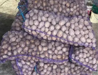 Зображення для оголошення Картопля 2 репродукція насіння «мелоді»