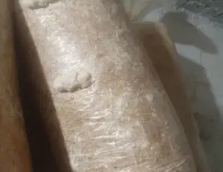 Зображення для оголошення Продам грибные блоки вешенки