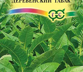 Зображення для оголошення Насіння тютюну курильного Махорка Сільський