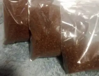Зображення для оголошення Продам насіння тютюну