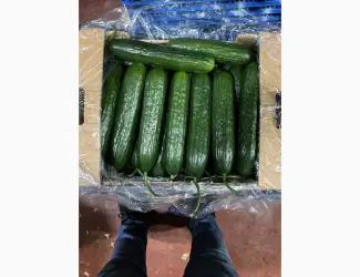 Зображення для оголошення Продам огірок