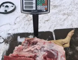 Зображення для оголошення М‘ясо свинина