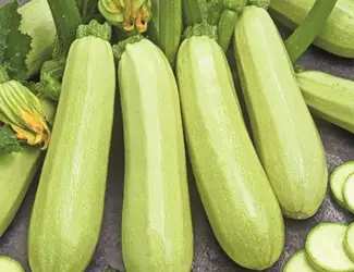 Зображення для оголошення Породам кабачок