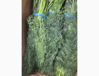 Зображення для оголошення Кріп Узбекистан