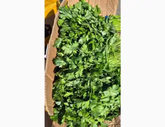 Зображення для оголошення Продам зелень