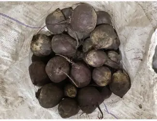 Зображення для оголошення Продам. Буряк водан